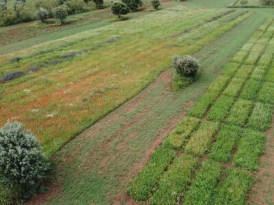 25 fincas en venta en Espiel