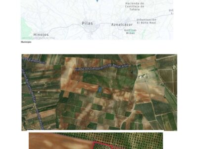 Finca rustica de olivar Pilas