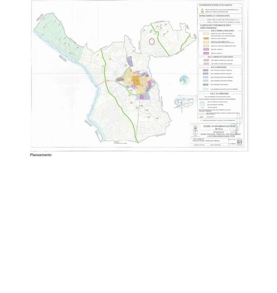 Finca rustica de olivar Pilas